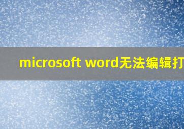 microsoft word无法编辑打字